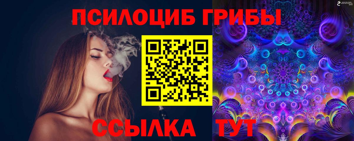 Избербаш  Псилоцибиновые грибы MAGIC MUSHROOMS  Вход с VPN 